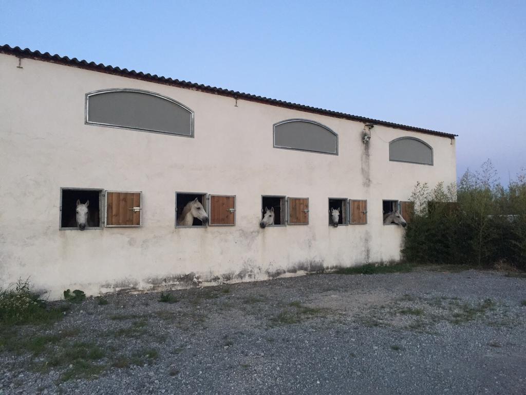 Mas Albert Espelly Saintes-Maries-de-La-Mer Exterior foto